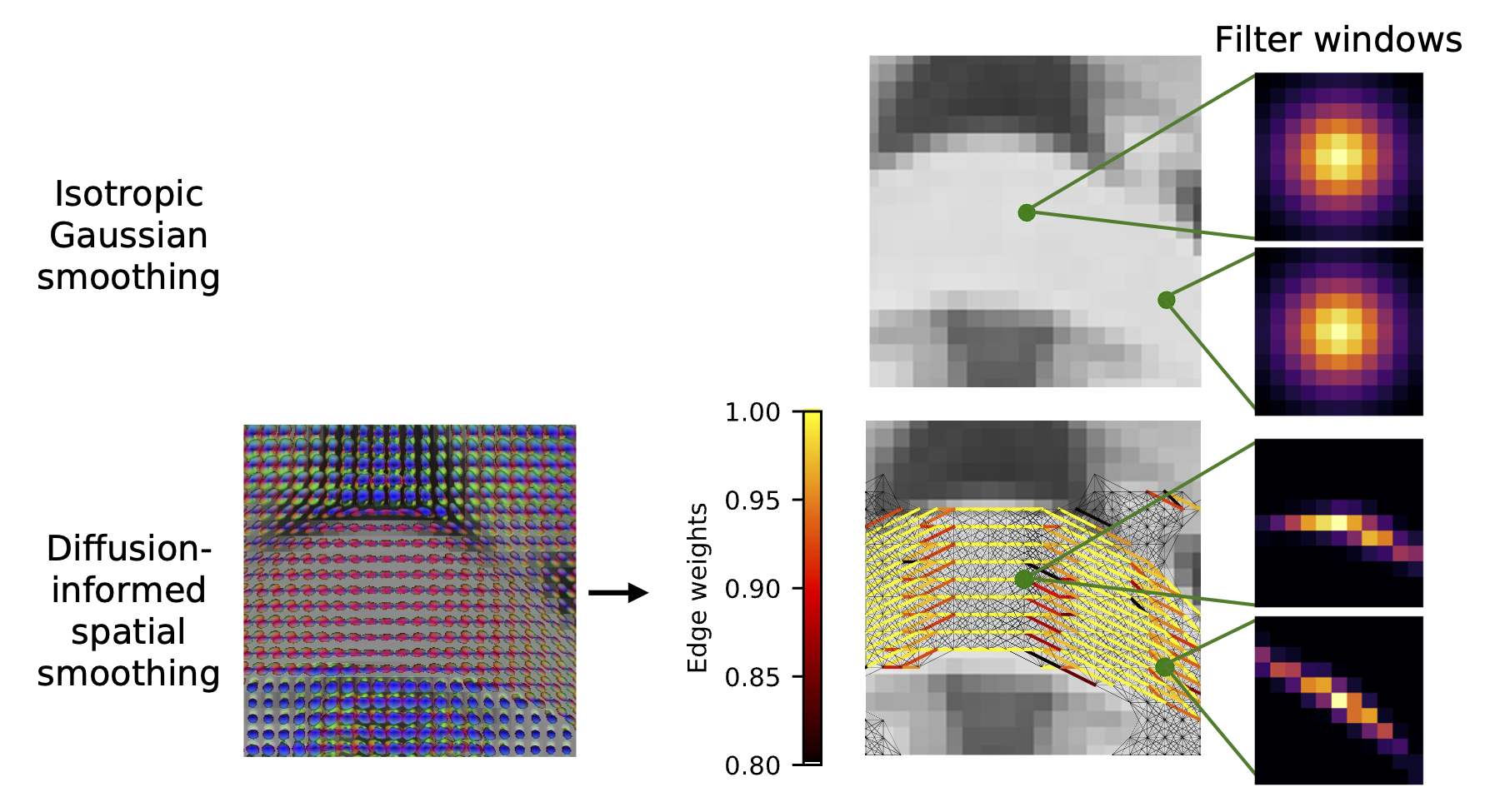 Comparison of diffusion smoothing and traditional Gaussian smoothing