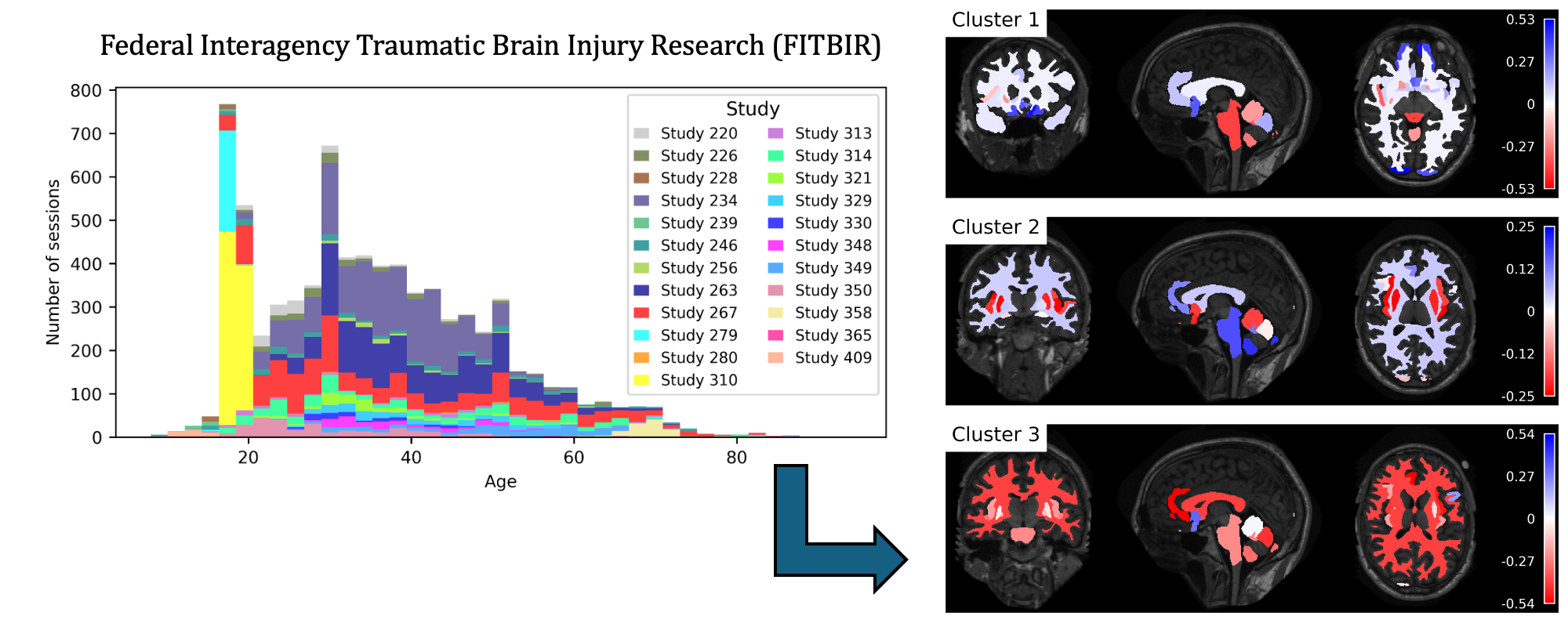 FITBIR phenotyping graphical abstract